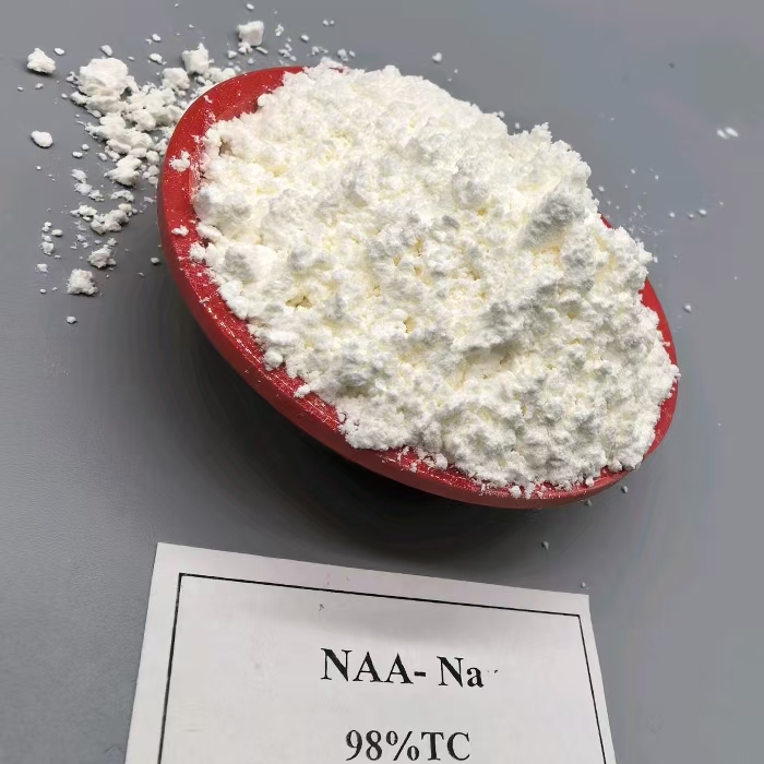 plant growth regulator NAA Na - Transplant aid - fruit thinner - Rooting hormone (50)