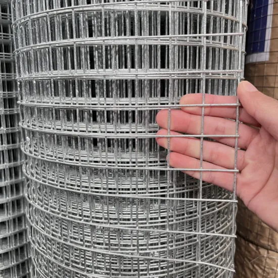 Grillage Galvanise Pour Lapin Welded Wire Mesh 4x4inch
