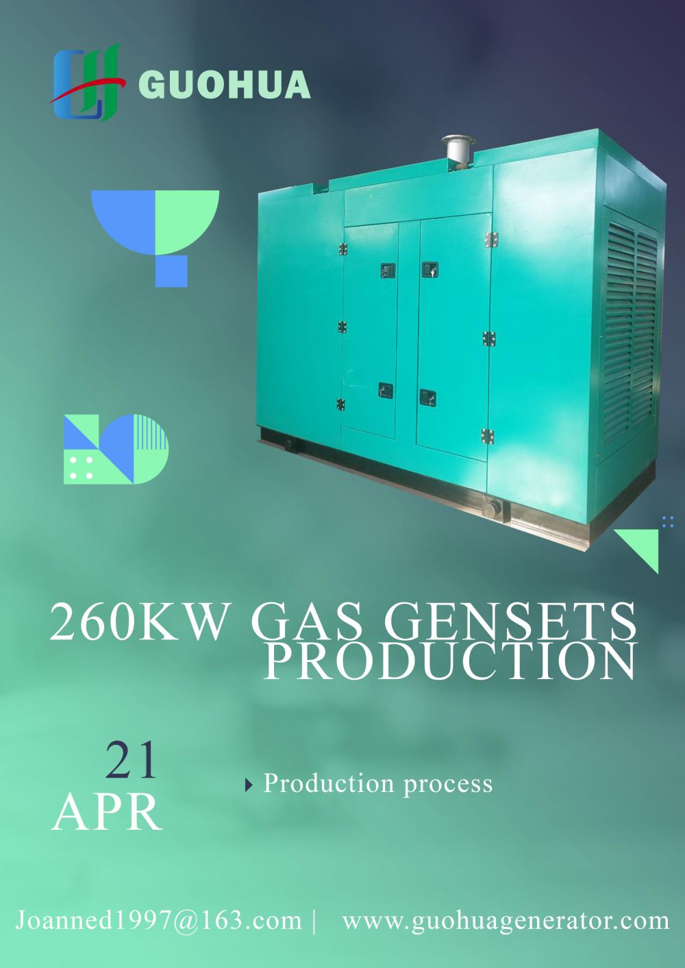 Ensemble de générateurs de gaz naturel de 260 kW, biogaz, GNC