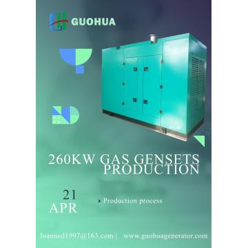 260 kVtwate tabiiy gaz generatori, biogaz, CNG