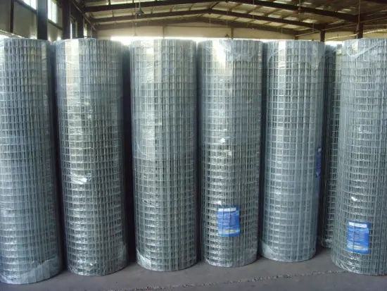 galvanized wire mesh bird screen