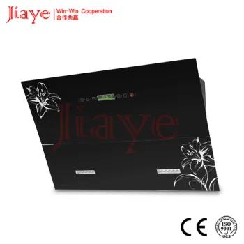 Popular type cooker hoood/colorful panel range hood