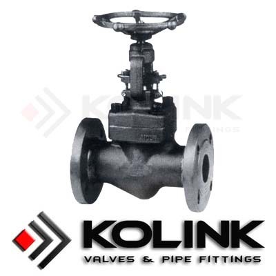 Gesmeed staal Globe Valve (flens eind)