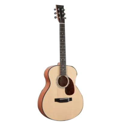 Hailun HL 1 Musical Instruments & Accessories: Elegant Guitar