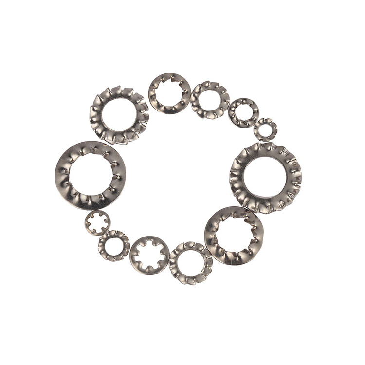 Toothed Lock Washer Toothed Lock Washer