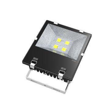 LED Floodlight 200W Bridgelux COB Source IP65