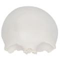 /msite/products/detail/productid/63598368/id/1517769.html