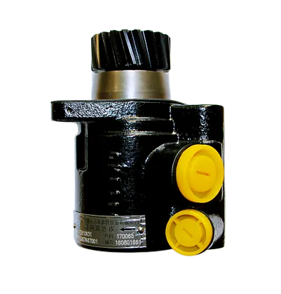Power Steering Oil Pump with Gear