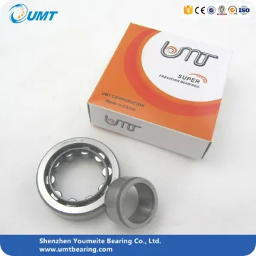 NU320 NJ206 Cylindrical Roller Bearing