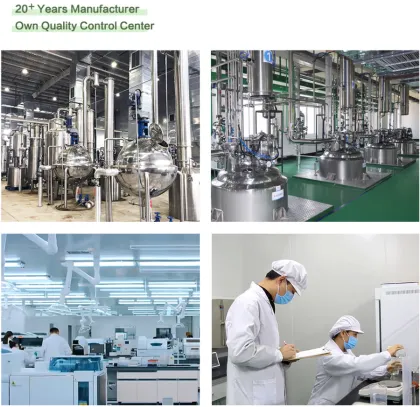 Green Tea Powder Enhanced by Premium Extract Technology