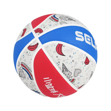 Custom Children's Basketball for Indoor/Outdoor Training No. 5 - Kindergarten and Elementary School Students with School Logo