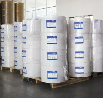 70gsm 75 gsm Direct Thermal Coated Sticker Self Adhesive Paper Material Jumbo Label Stock Thermal Label Jumbo Roll