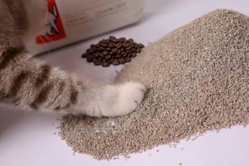 Mixed Size Coffee Scented Activated Charcoal Bentonite
