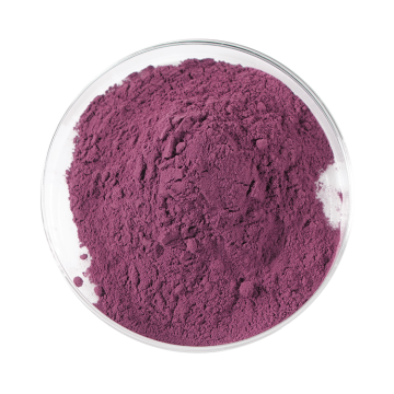 Blue berry powder bulk