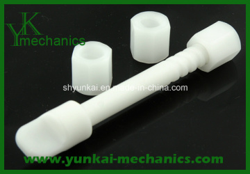 Precision Plastic Bolt and Nut Injection Moulding
