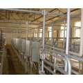 Full automatic rotating milking parlor