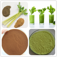 Celery extract Apigenin Powder 98% Anti-cancer HPLC 520-36-5