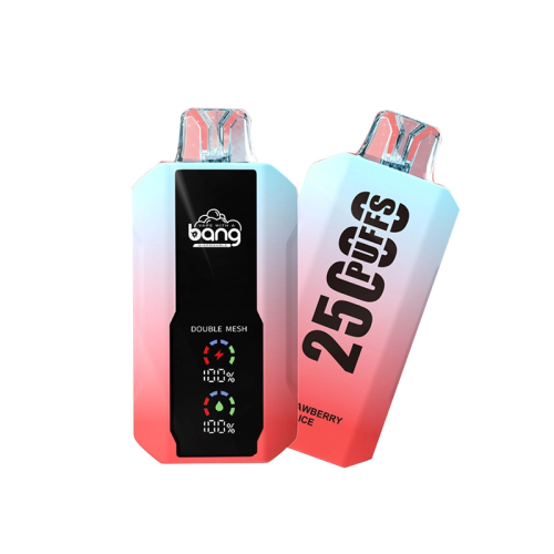 2024 Hot Selling Electronic Cigarette Bang King 25000