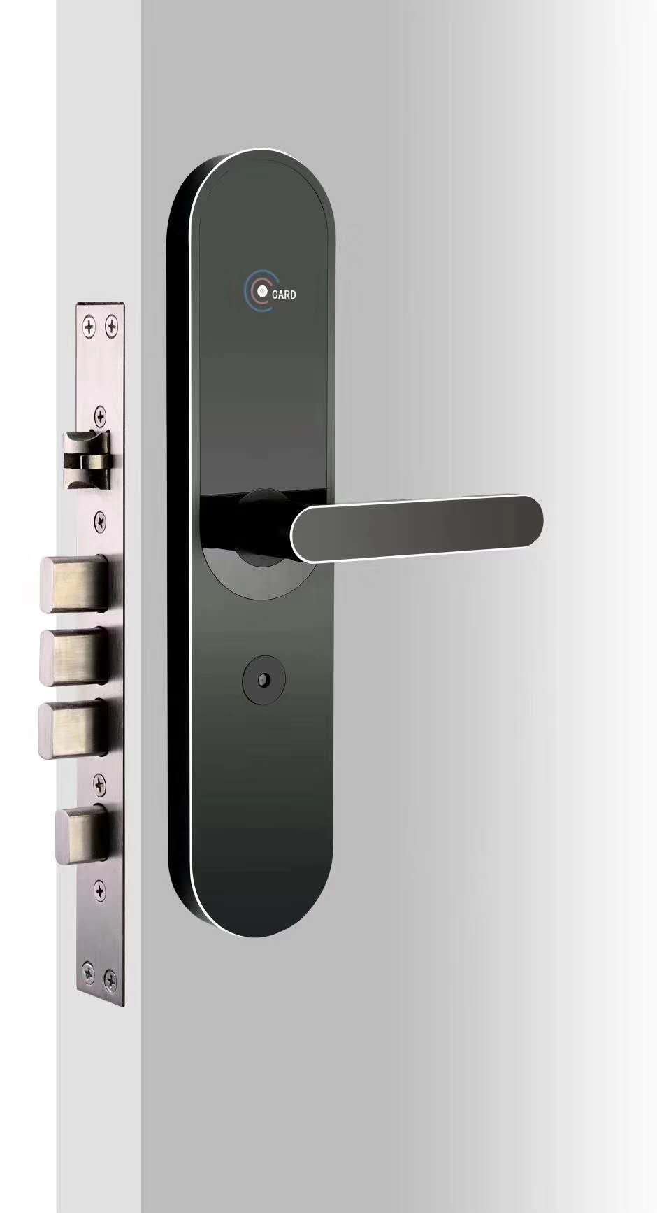 Fingerprint password card recognition lock