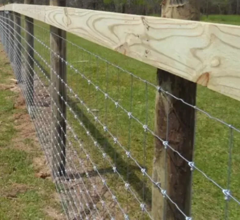 Galvanizzato Farm Farm Fince Fence/ Steel Farm Fencing Wholesaleses