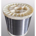 Electro Galvanized Wire Electro Galvanized Wire with Spool Supplier