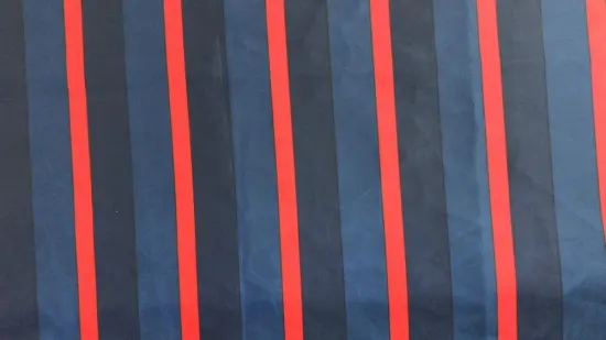 Lesen Textile High Density Nylon Taffeta fabric