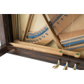 Petrof · scholze ns-6c pianight pianony pontald playsted waxqabadka 126cm ee petrof ee xirfadlaha ah ee &#39;Petrof&#39;