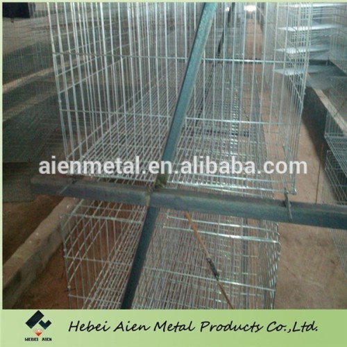 design chicken layer cages for sale