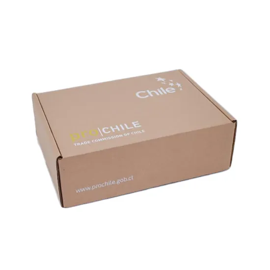 Custom Logo Cosmetics Corrugated Cardboard Packaging Box