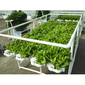 Sistem Hidroponik Lengkap Untuk Tomat / Lettuce