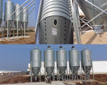 High quality automatic pig farm design floor feeding system equipment