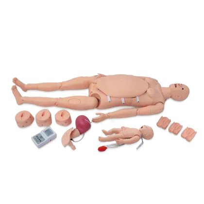 Maternal & Neonatal Delivery and Emergency Simulator