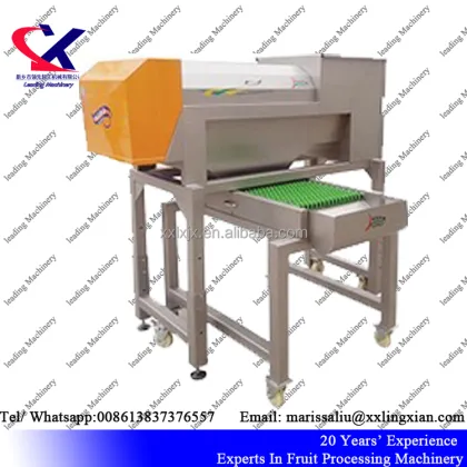 Large Scale Ice Grape Juice Making Machine | Grape Juice Processing Equipment