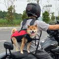 Mochila transportadora para perros en bicicleta