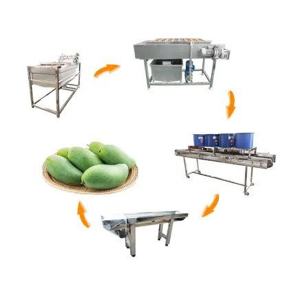 Fruit and Vegetable Washing Grading Machine