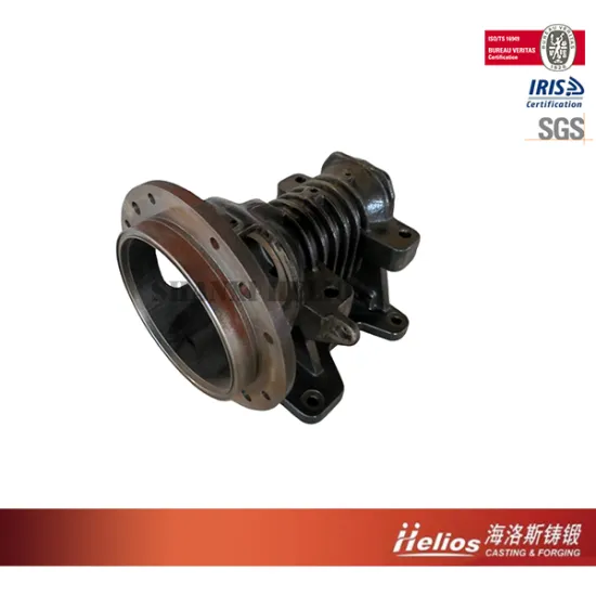 Water treatment gray iron valve body
