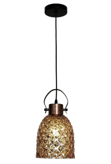Fashion Indoor Lighting Suspension E27 Pendant Lamp