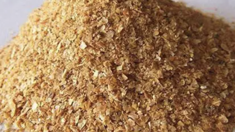 High Purity Ferulic Acid Powder