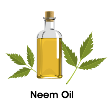 Neem seed oil for agriculture