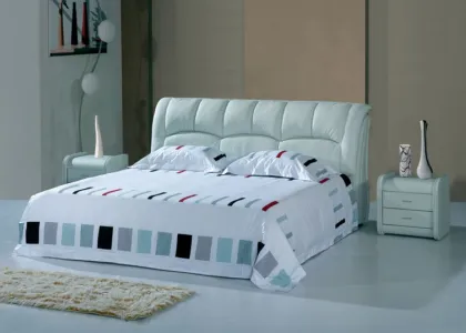 Modern Bed room Double bed