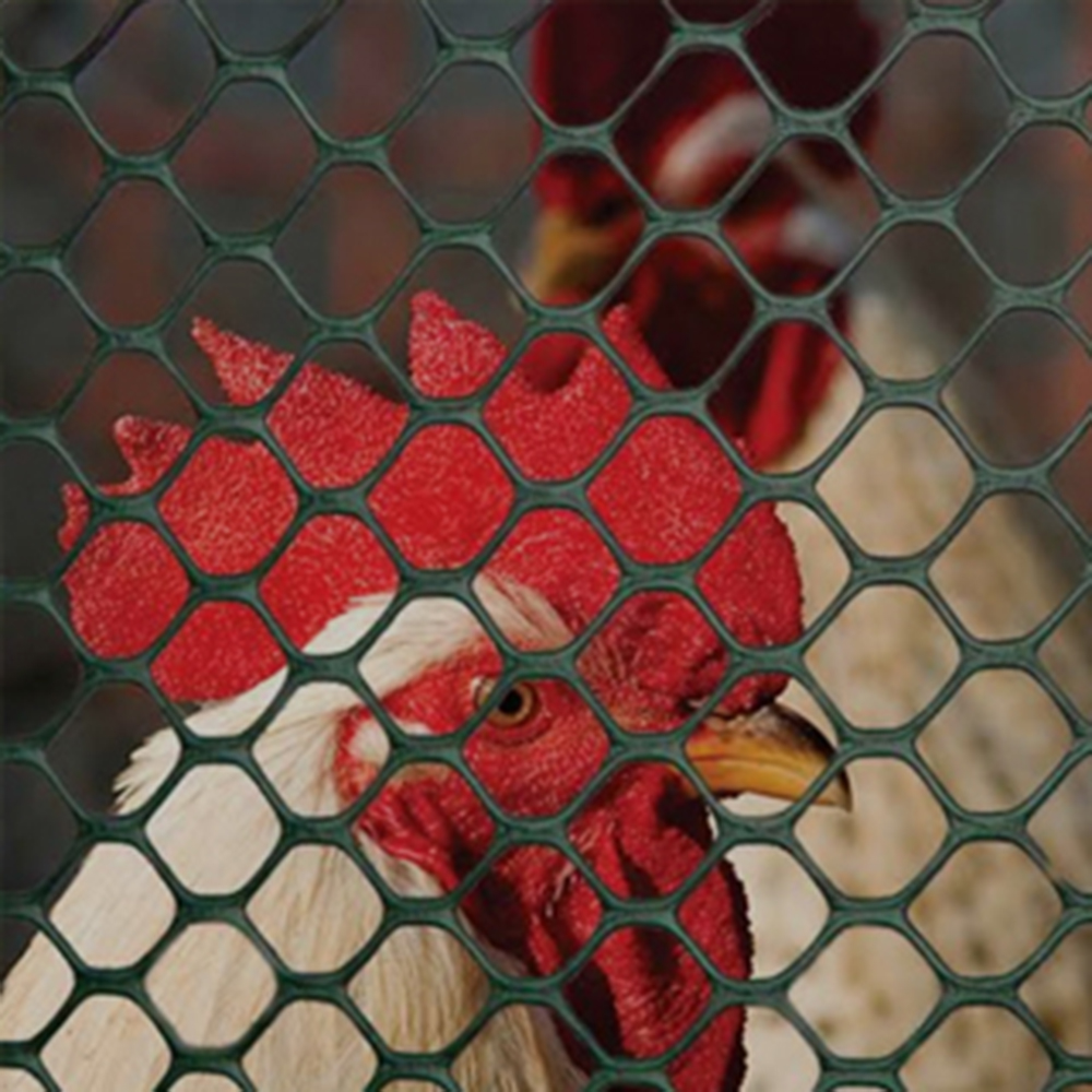 Chicken Wire Fence