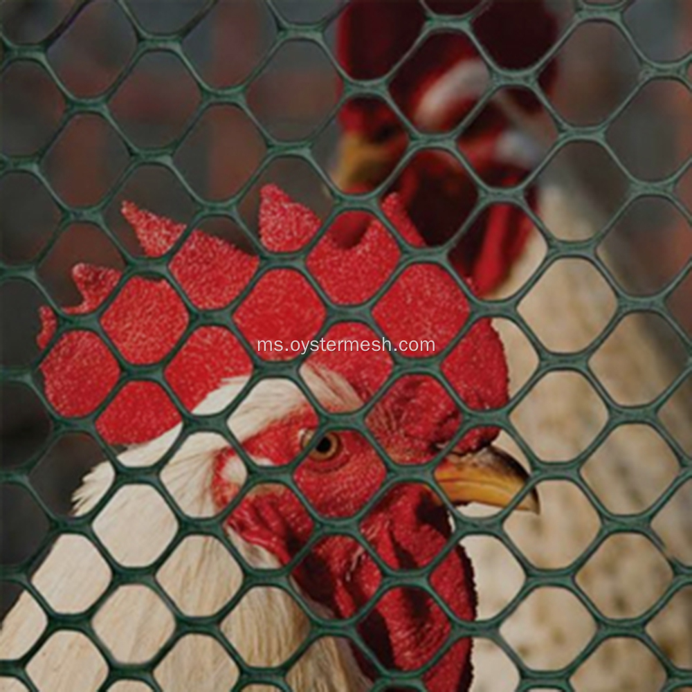Pilih mesh HDPE yang berkualiti untuk Coops Chicken