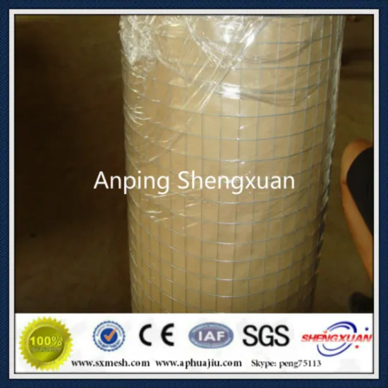 Galvanized welded wire mesh ( goods in stock )