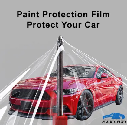 is paint protection on a car worth it