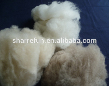 China Sharrefun factory goat hair cashmere fibres white/light grey/brown