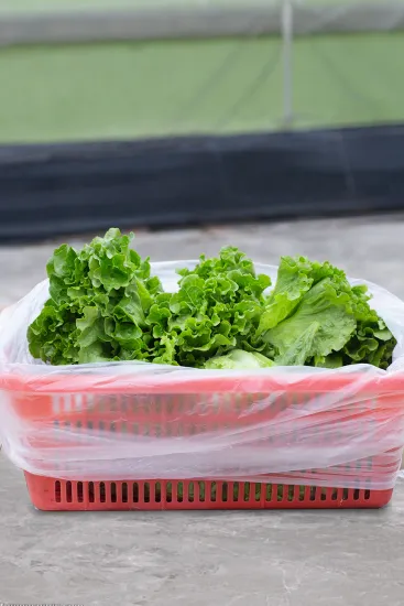 Big Capacity Supermarket Plastic Food Storage Bag