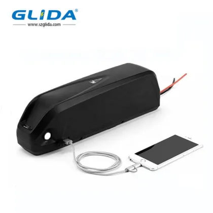 Electric Bike Lithium Battery 48V 15Ah