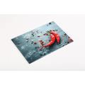 Nuovo Design Design Temped Glass Place Mat