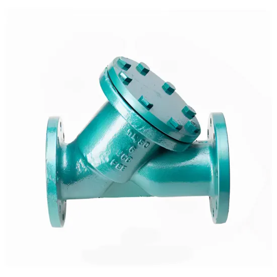 Fluorine Lined Y-shaped Filter Flange Strainer