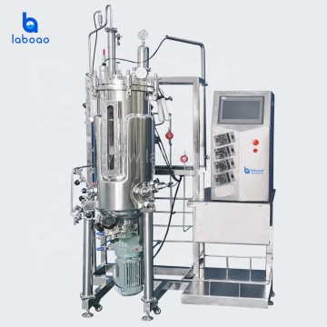 Laboao Magnetic Mixing Stainless Steel Bioreactors - 100L to 5000L